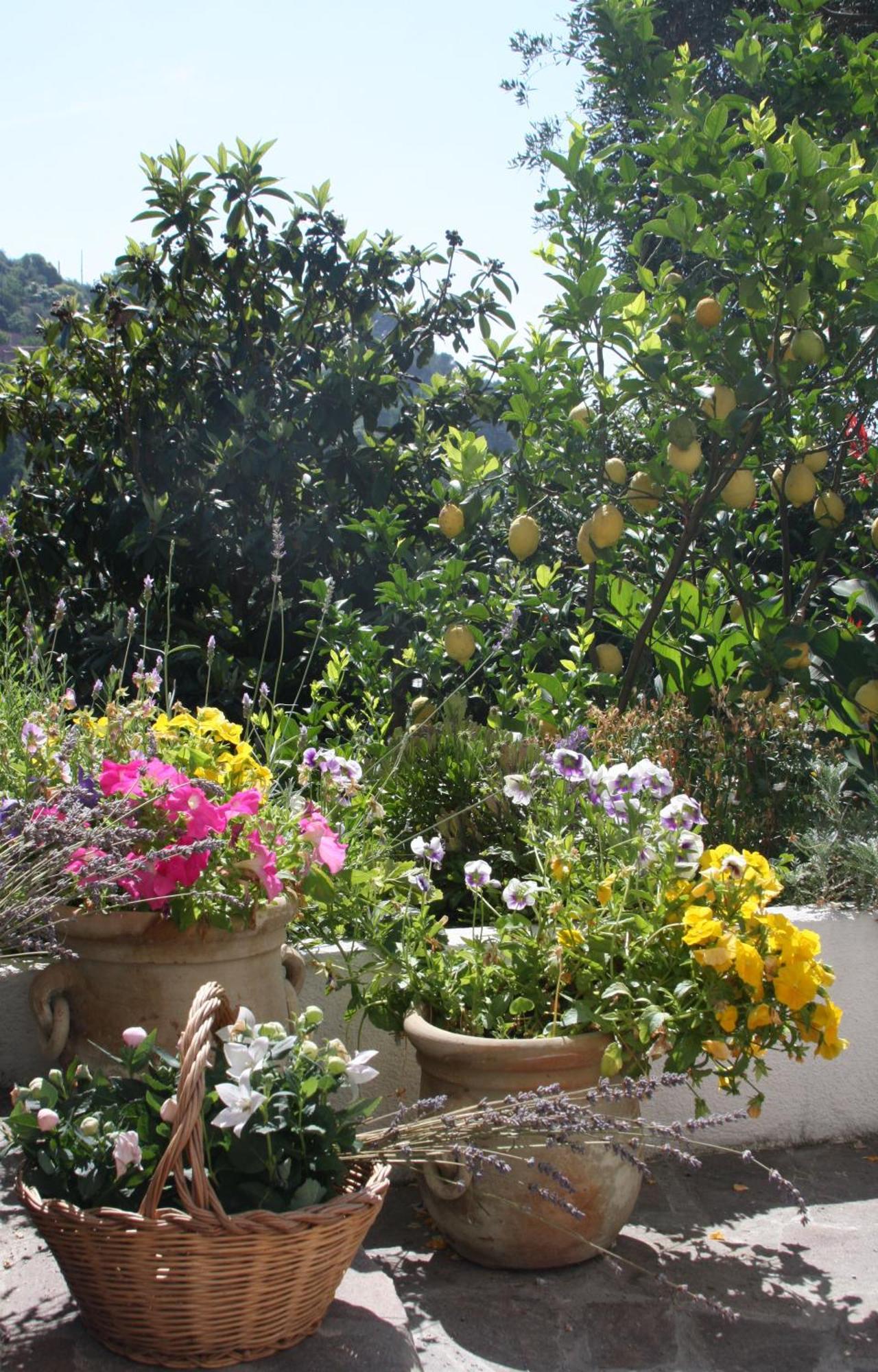 Bed & Breakfast Le Giare Monterosso al Mare